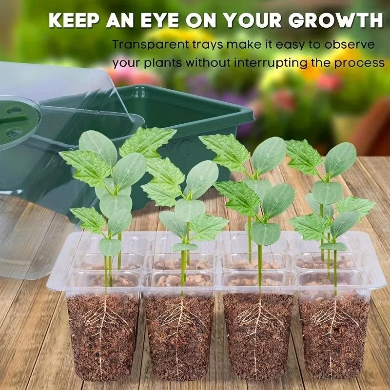 12Grids Seedling Trays Seed St - Dome Propagation Kit reseña y precio