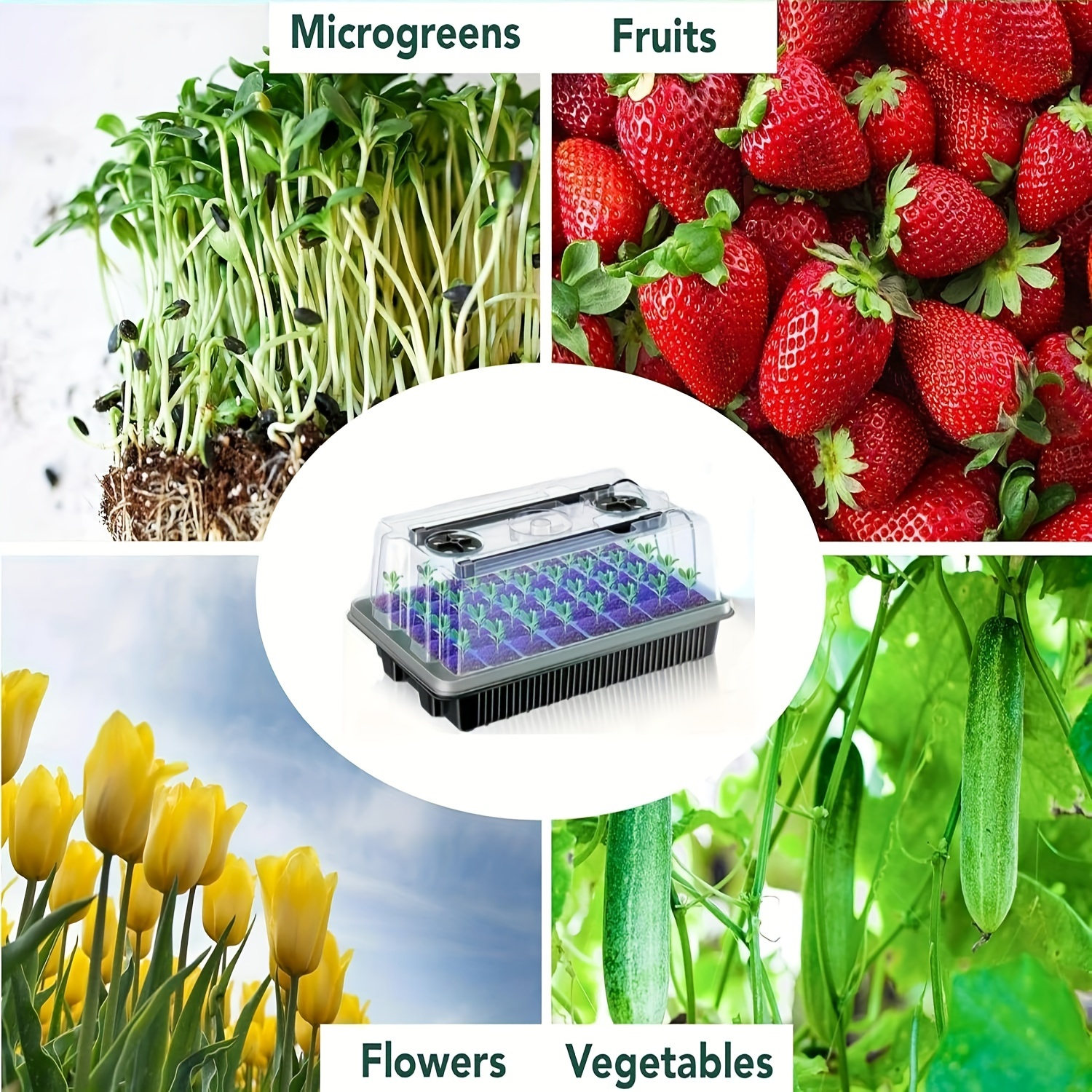 40/Cell Seed Starter Kit with  - Dome Propagation Kit reseña y precio