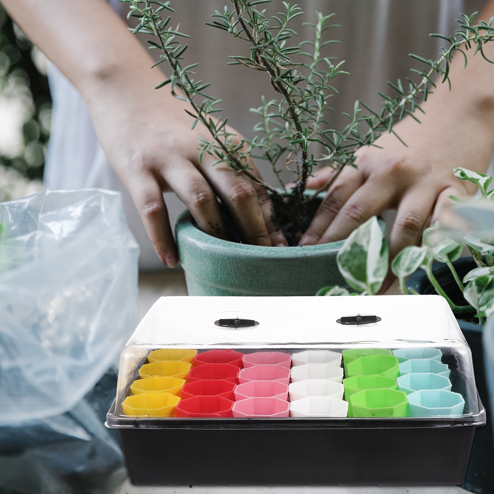 1Set Heavy Duty Sprouter Tray  - Dome Propagation Kit reseña y precio