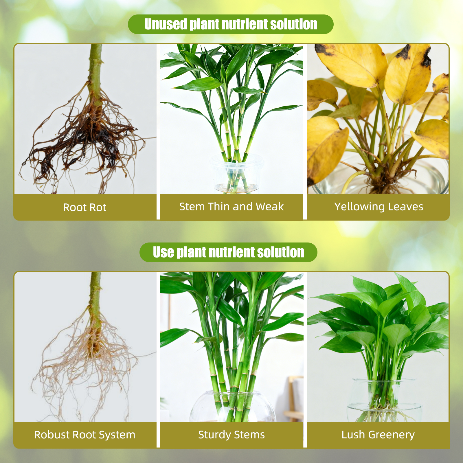 Hydroponic Nutrient Solution A - Nutrient Solution Ab reseña y precio