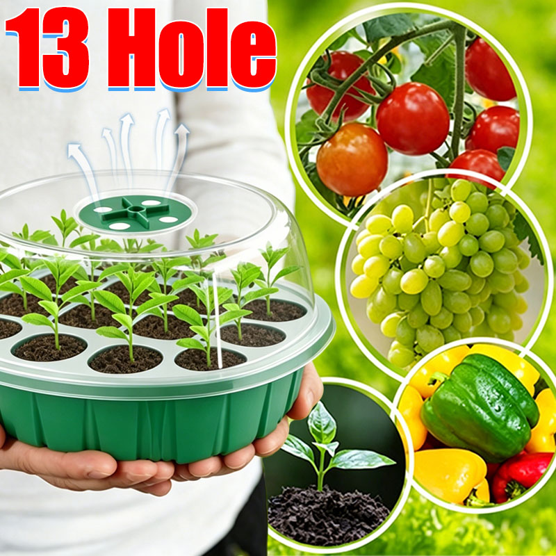 13 Hole Growing Starting Nurse - Dome Propagation Kit reseña y precio