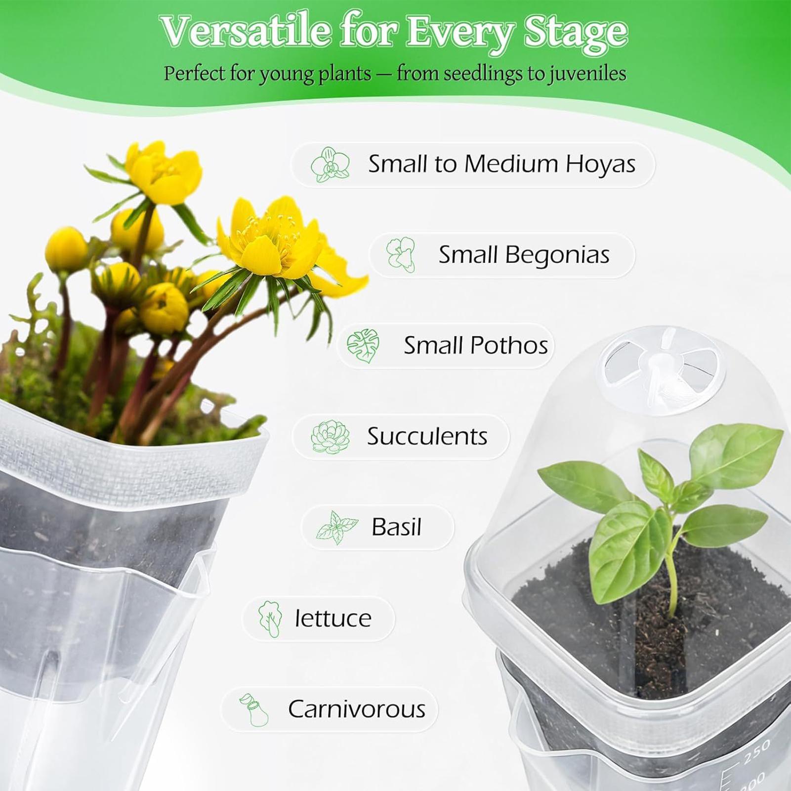 Self Watering Pots 12Pcs Seed  - Dome Propagation Kit reseña y precio