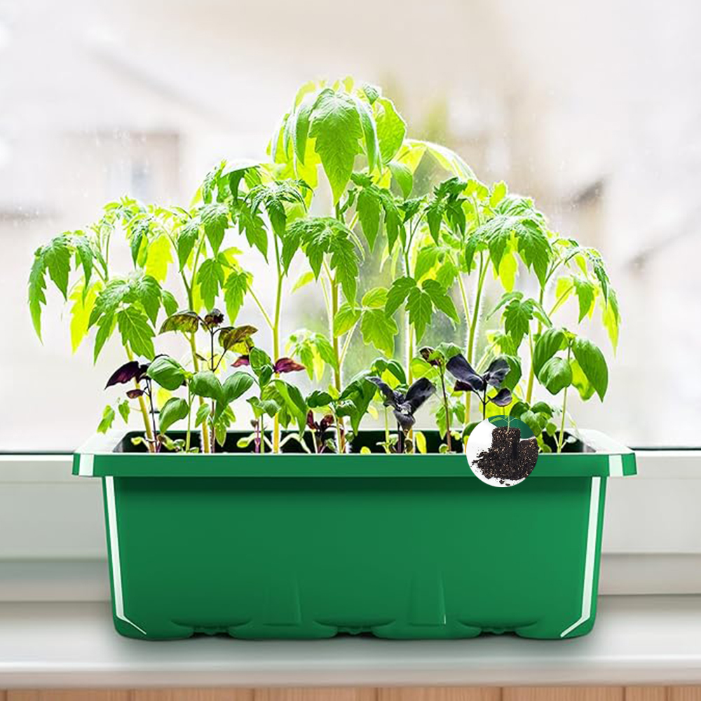 10pcs/set Seedling Trays Seed  - Dome Propagation Kit reseña y precio