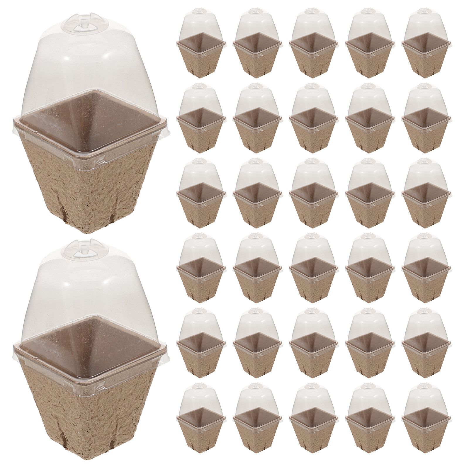 36Pcs Biodegradable Square Nur - Dome Propagation Kit reseña y precio