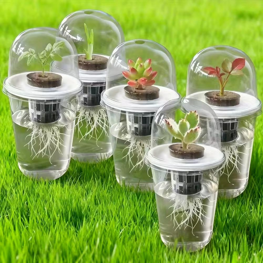 Hydroponic S Starter Cup Plant - Dome Propagation Kit reseña y precio