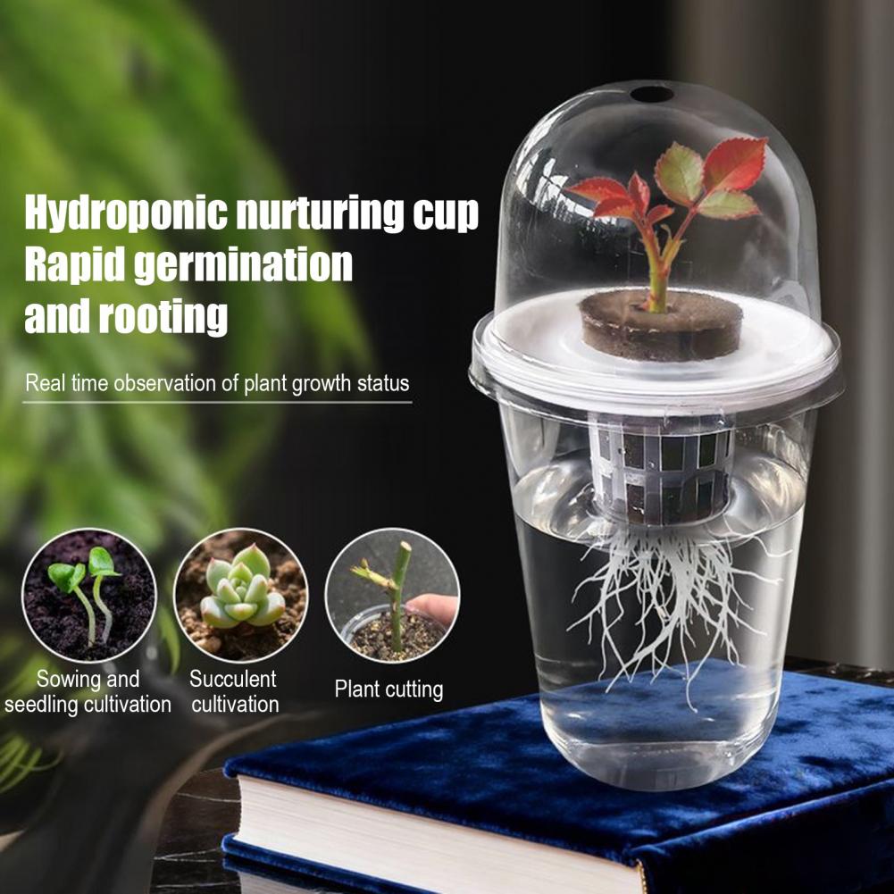 Hydroponic S Starter Cup Plant - Dome Propagation Kit reseña y precio