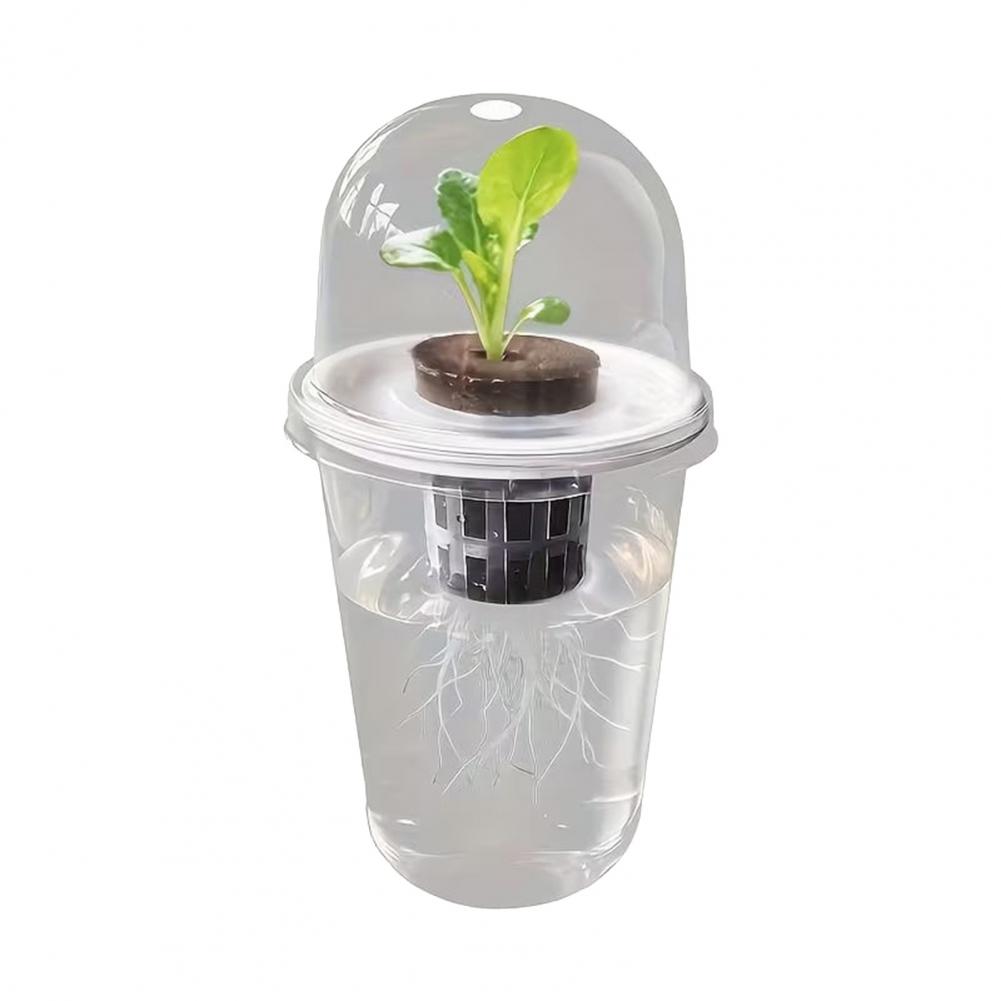 Hydroponic S Starter Cup Plant - Dome Propagation Kit reseña y precio