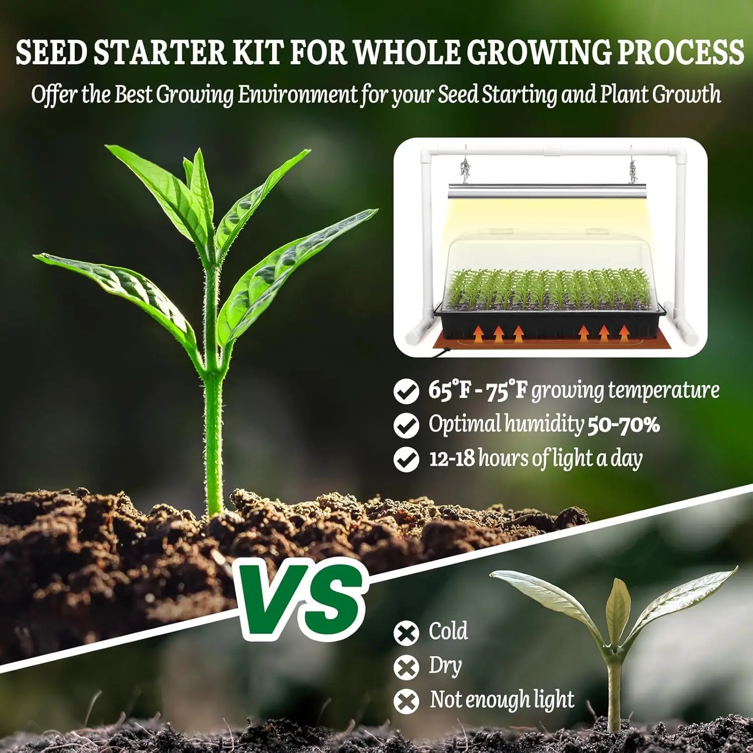 Seed Starter Kit Grow Light He - Dome Propagation Kit reseña y precio