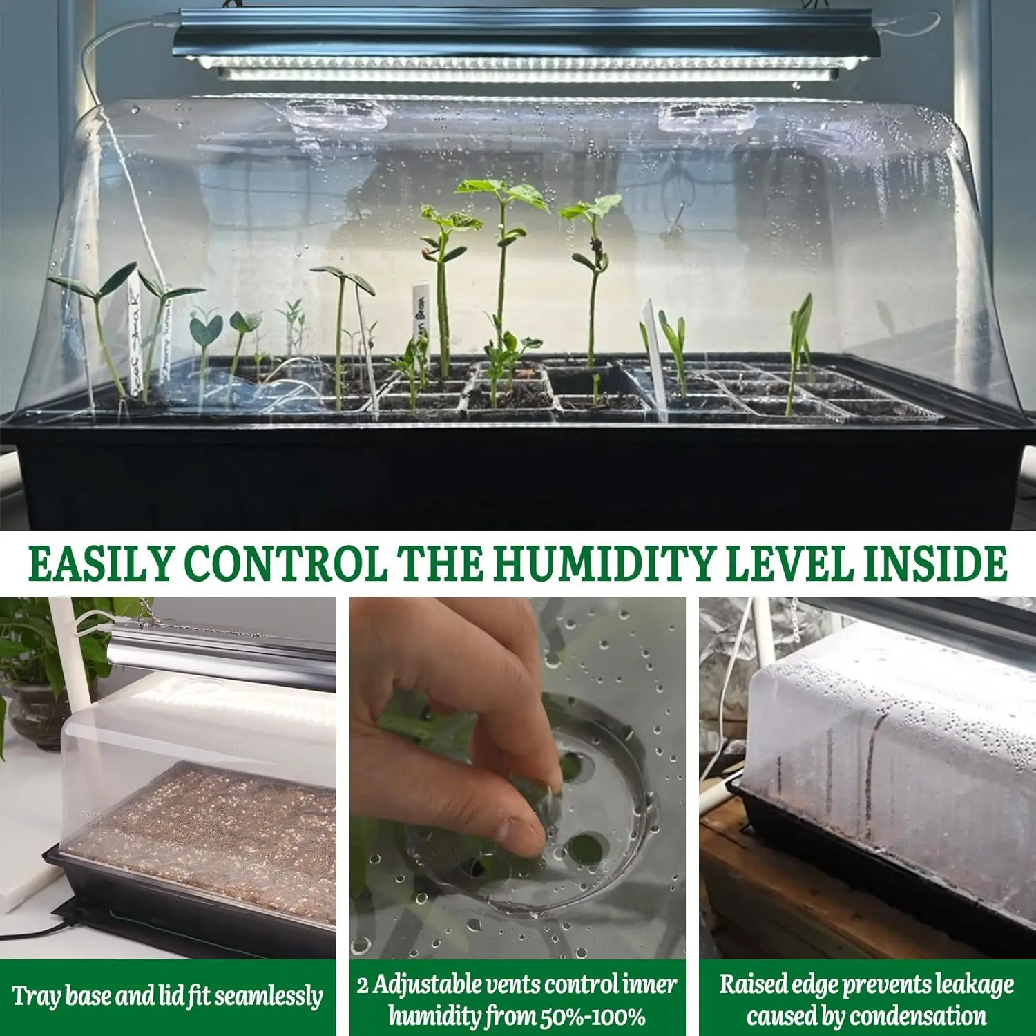 Seed Starter Kit Grow Light He - Dome Propagation Kit reseña y precio